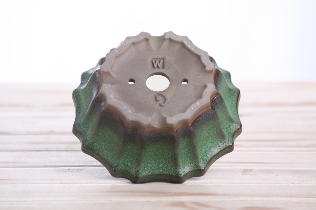 Flower Design Bonsai Pot 5 Inch – Elegant Ceramic Bonsai & Succulent Planter with Detailed Rim, High‑Fired Frost‑Proof Stoneware, Handmade in USA (Avocado)