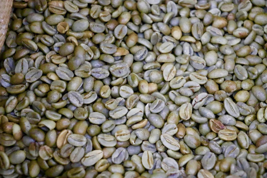 Guadalupe Roastery, Award-Winning Natural Parainema 2026