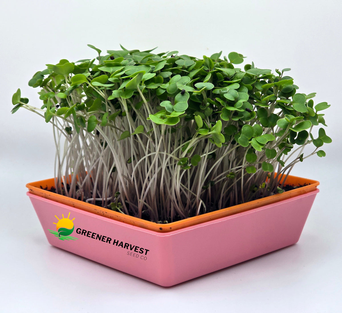Mini Harvest Kit