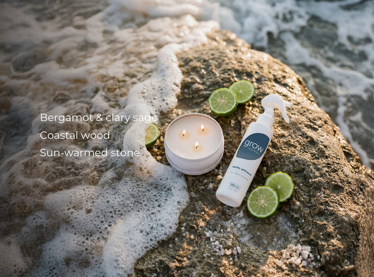 Pacific Driftwood 3-Wick Candle — product photo 3