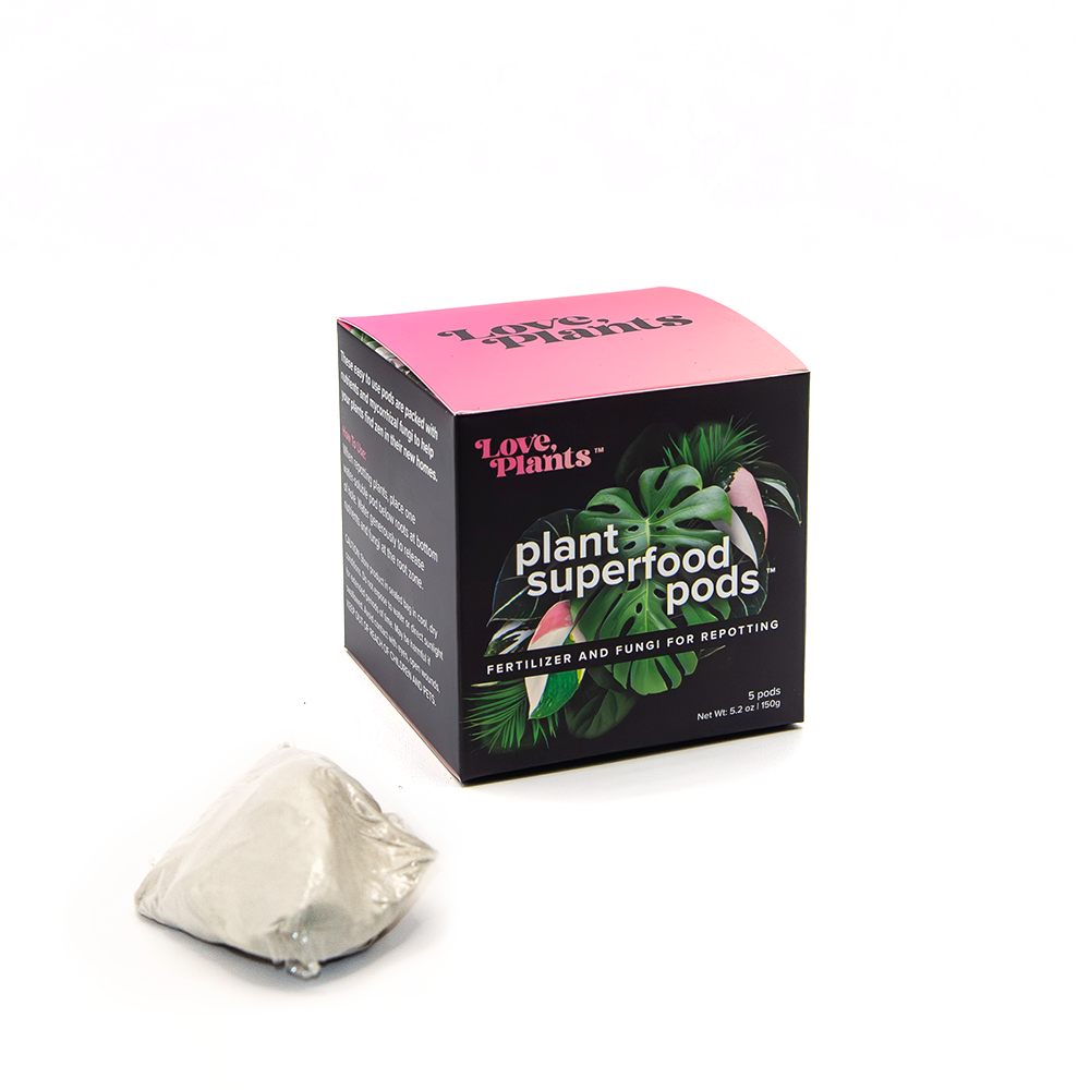 Houseplant Repotting Kit