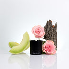 Melon Rose Candle | Honeydew ~ Rose ~ Beechwood | Wood Wick Candle — product photo 2