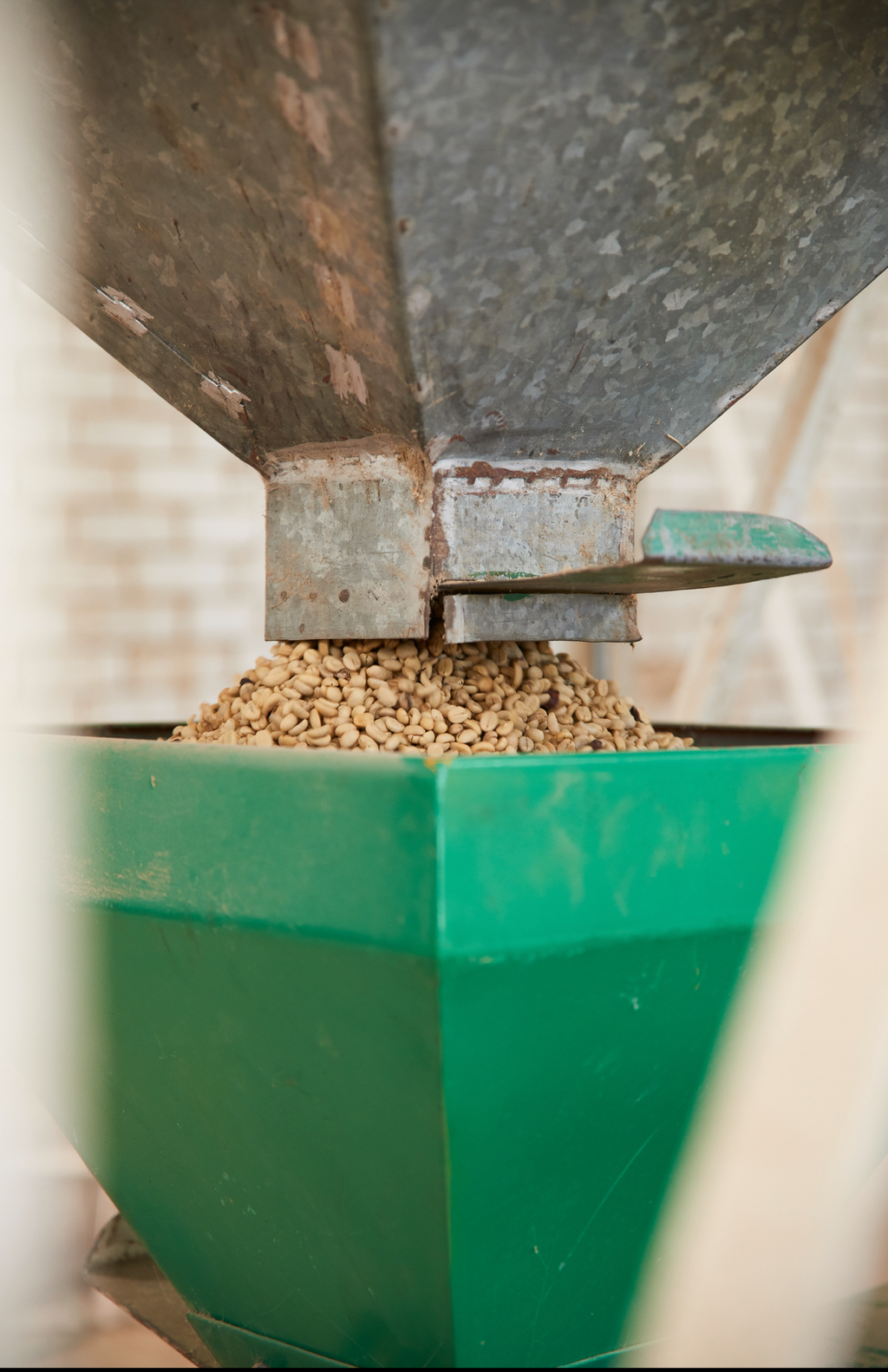 MEXICAN FTO ORGANIC CHIAPAS FESICH COOPERATIVE