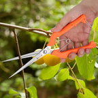 Garden Shear Plant Scissor 250mm Pruning Shear Cutter Gardening Plant Flower Scissor Branch Pruner Garden Tool Pruning Shear — product image