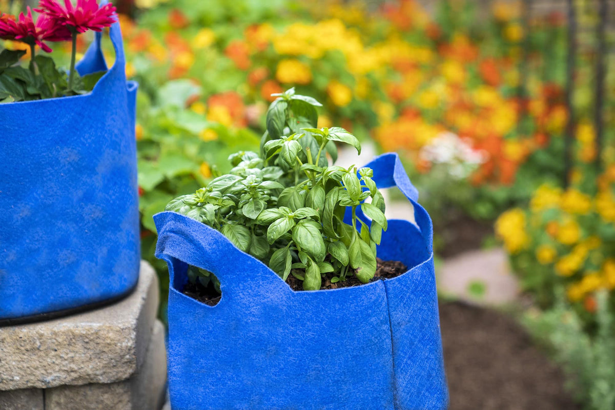 Smart Pot Fabric Grow Bag – Breathable Root-Pruning Planter