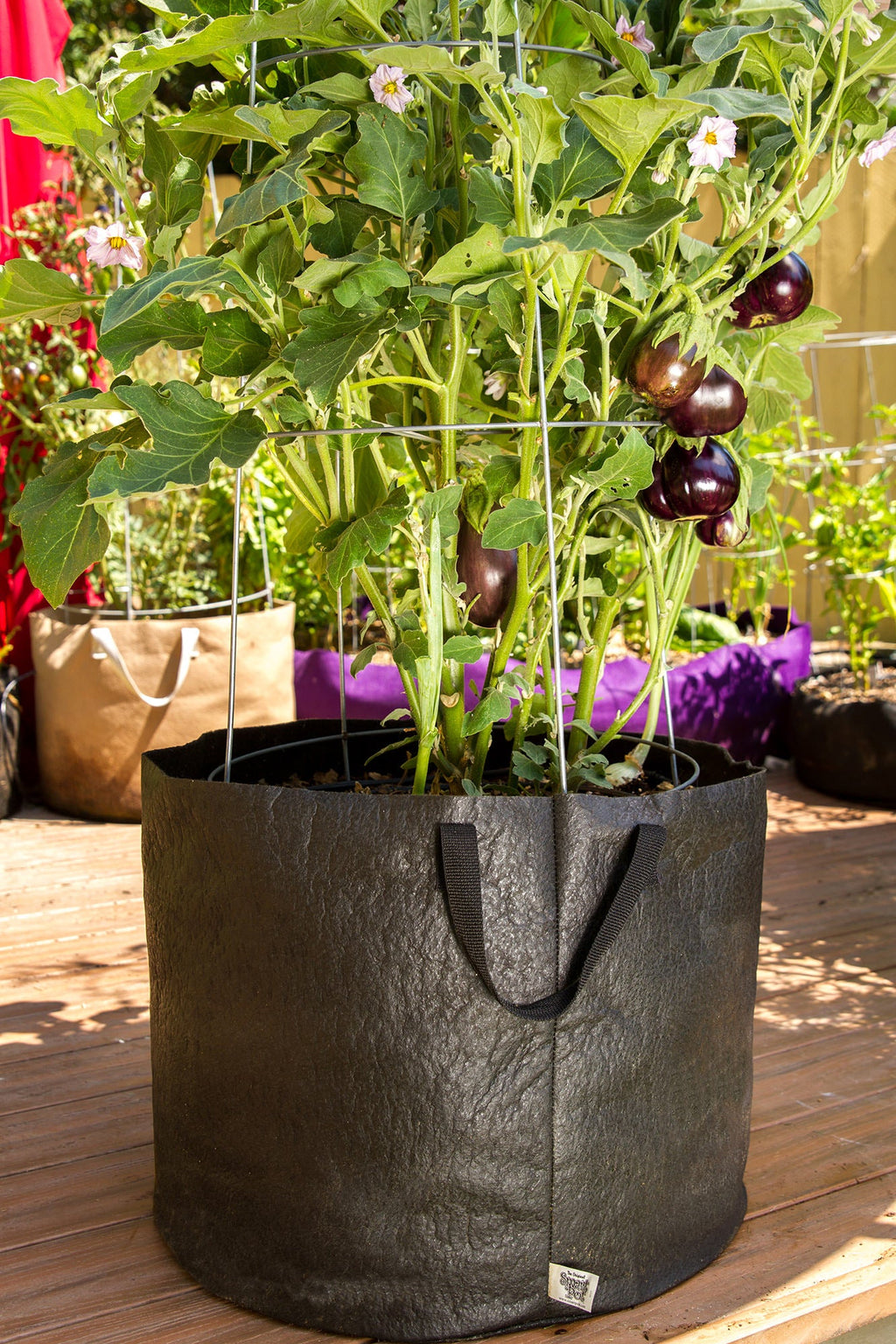 Smart Pot Fabric Grow Bag – Breathable Root-Pruning Planter