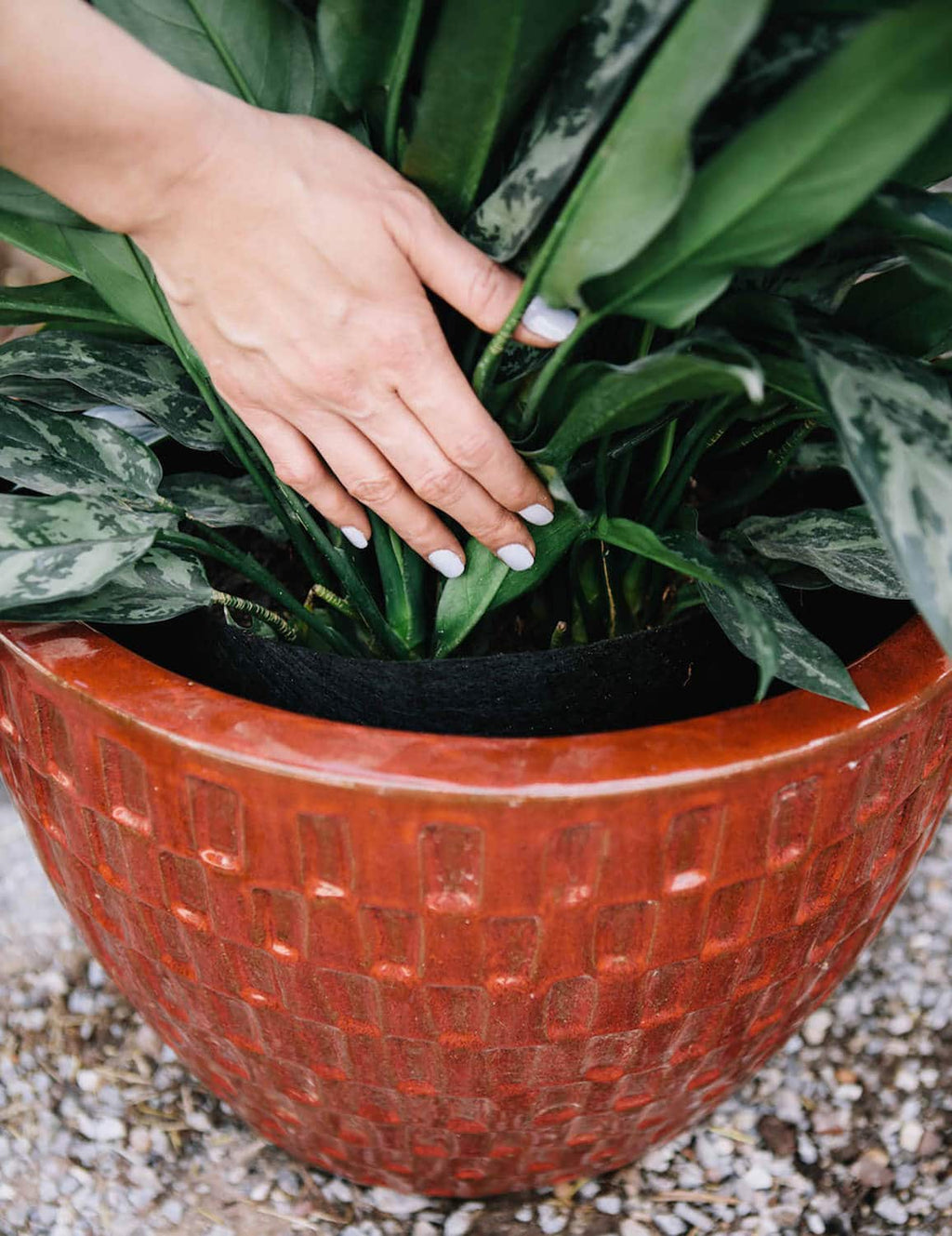 Smart Pot Fabric Grow Bag – Breathable Root-Pruning Planter