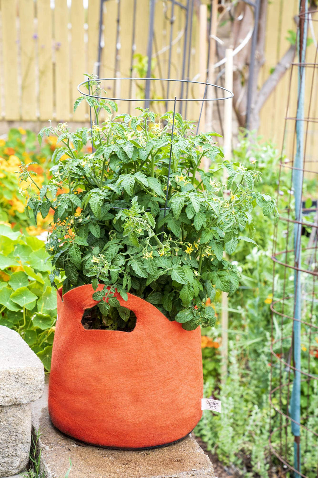Smart Pot Fabric Grow Bag – Breathable Root-Pruning Planter
