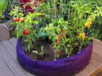 Smart Pot Round Raised Bed