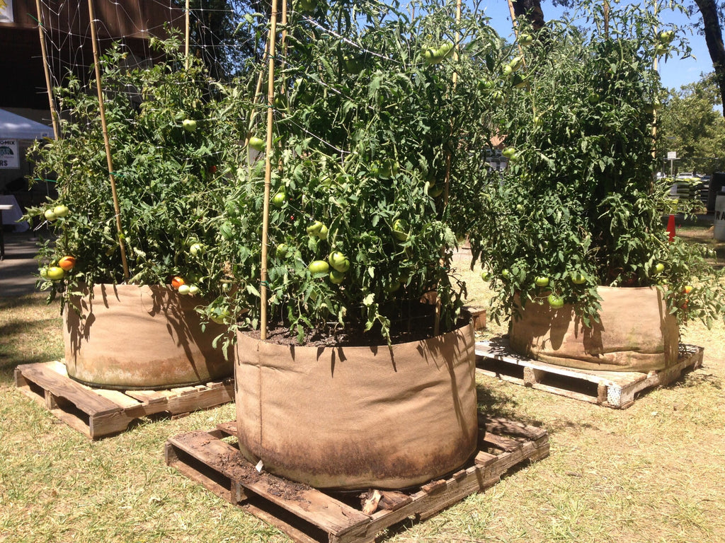 Smart Pot Fabric Grow Bag – Breathable Root-Pruning Planter