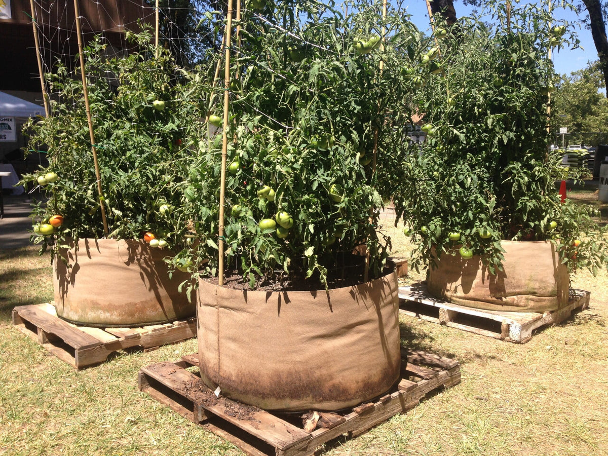 Smart Pot Fabric Grow Bag – Breathable Root-Pruning Planter