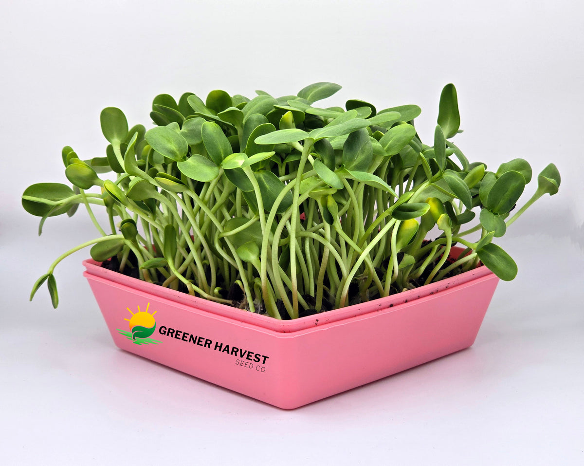 Mini Harvest Kit