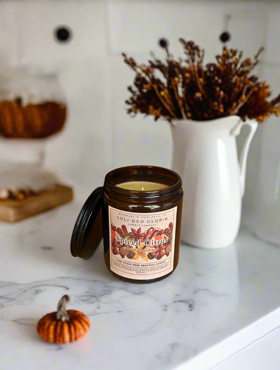 Fall Bundle | 4 Pack | Pumpkin, Spice, Citrus, Warm — product photo 5
