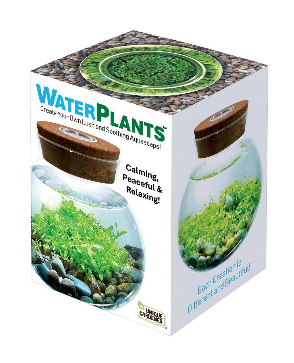WaterPlants- Grow Lush Aquatic Plants from Seed! Thrives With Minimal Care