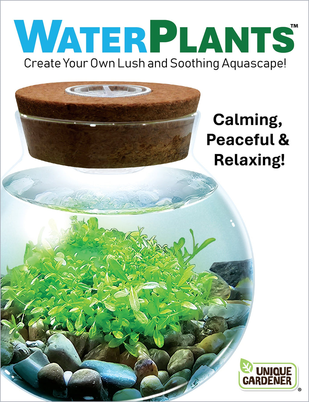 WaterPlants- Grow Lush Aquatic Plants from Seed! Thrives With Minimal Care