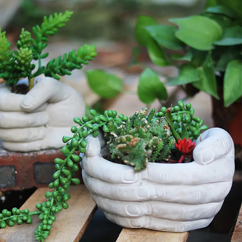 Hand-Shaped Concrete Planters