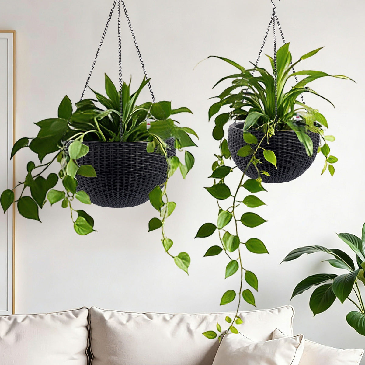 Self Watering Hanging Planter with Water Level Indicator - White, Black, or Dark Brown