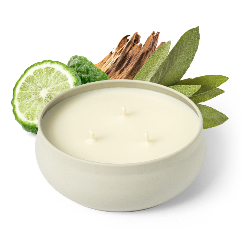 Pacific Driftwood 3-Wick Candle — product photo 1