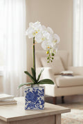 22" Cream Phalaenopsis Orchid Plant in Ceramic Vase — product image