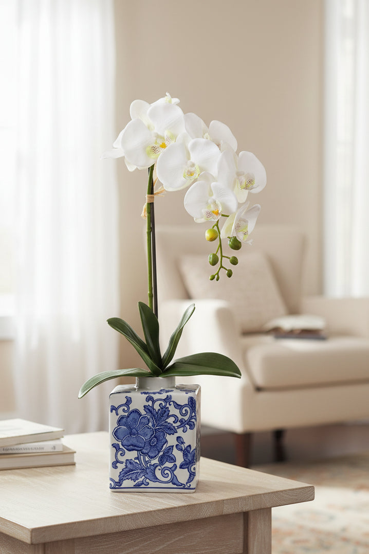 22" Cream Phalaenopsis Orchid Plant in Ceramic Vase — product image