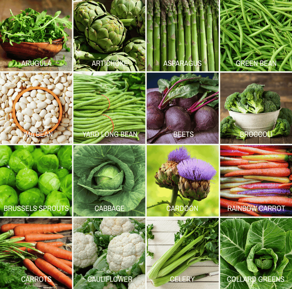 Community Garden Survival Seed Vault – 120 Seed Varieties