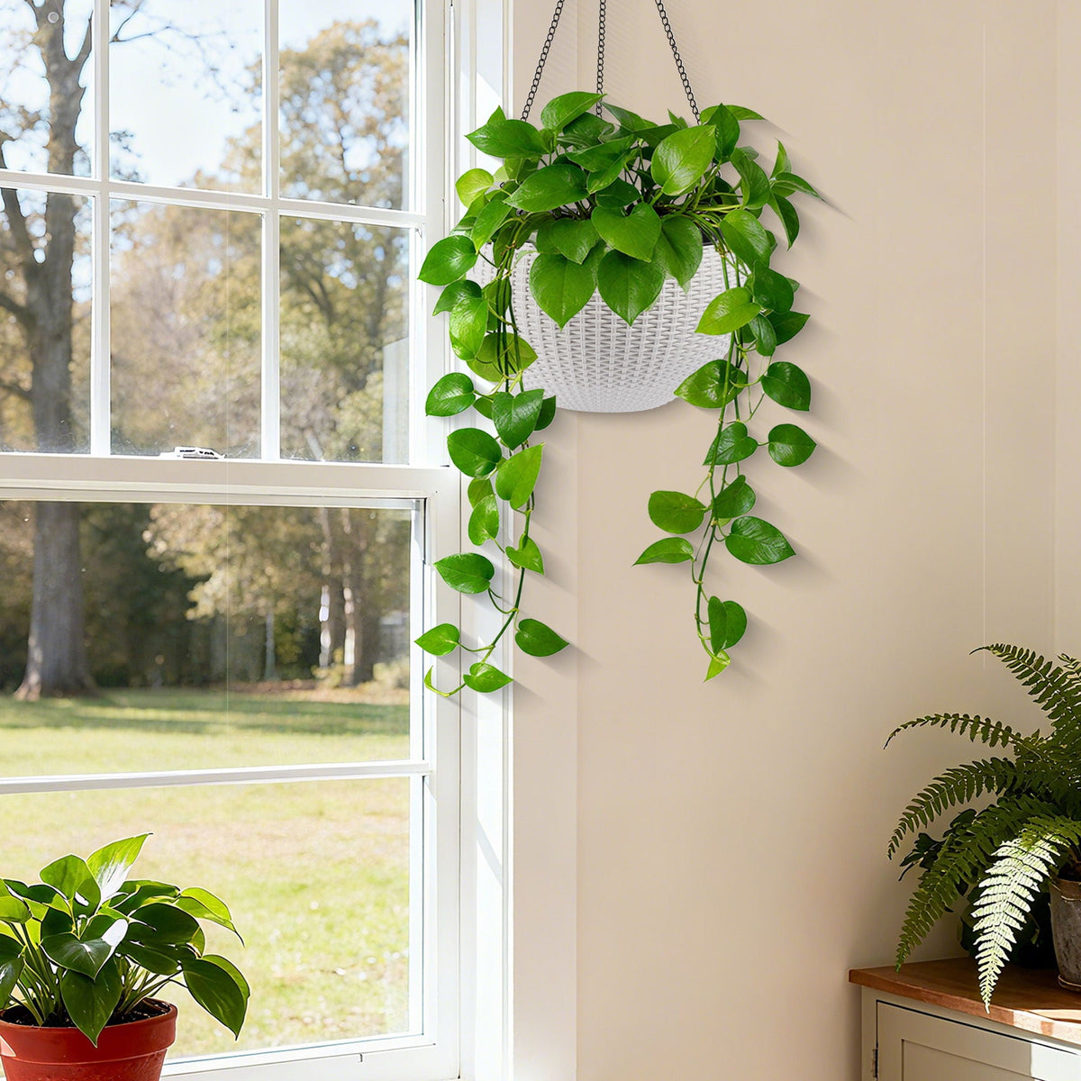 Self Watering Hanging Planter with Water Level Indicator - White, Black, or Dark Brown