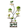 62 in Tall Indoor Plant Stand with Adjustable Grow Lights – 8-Tier Display Shelf