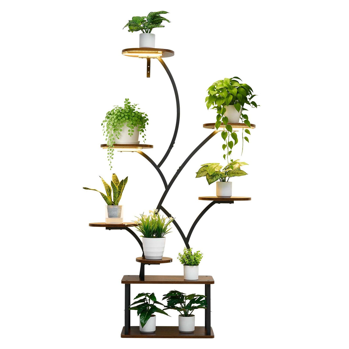 62 in Tall Indoor Plant Stand with Adjustable Grow Lights – 8-Tier Display Shelf