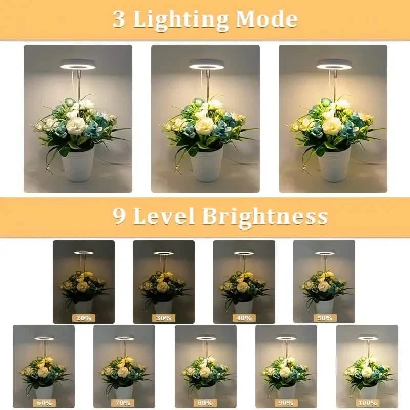 Full Spectrum LED Halo Plant Light With Stand Height Adjustable Auto Timer