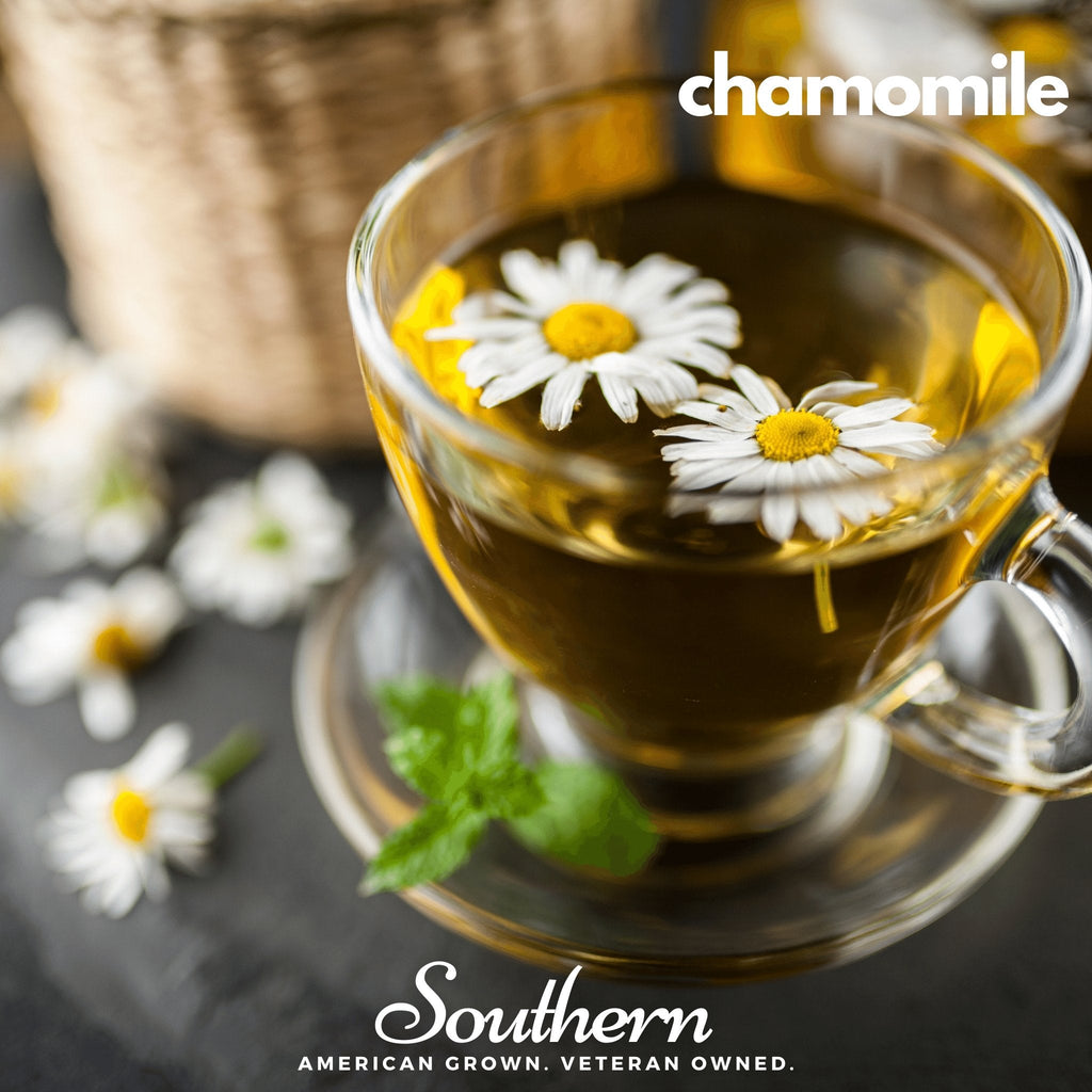 Herbal Tea Seed Collection – 6 Varieties