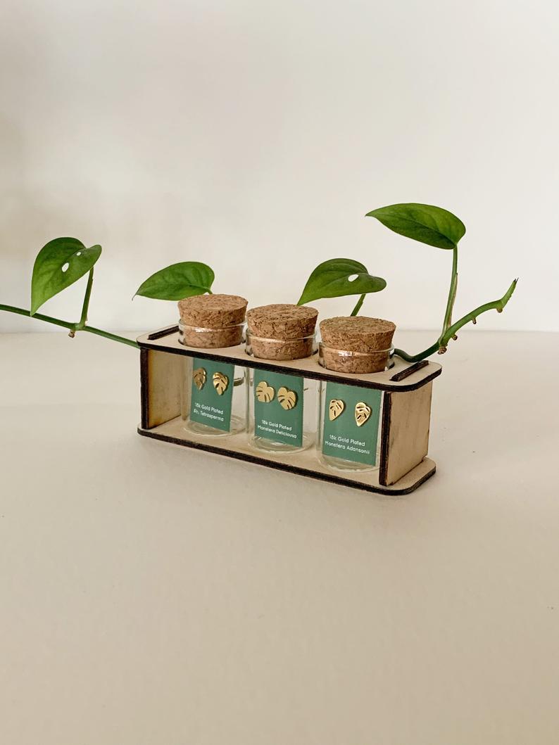 Custom Etched Propagation Stand + 3 Set Tiny Houseplant Earring Studs