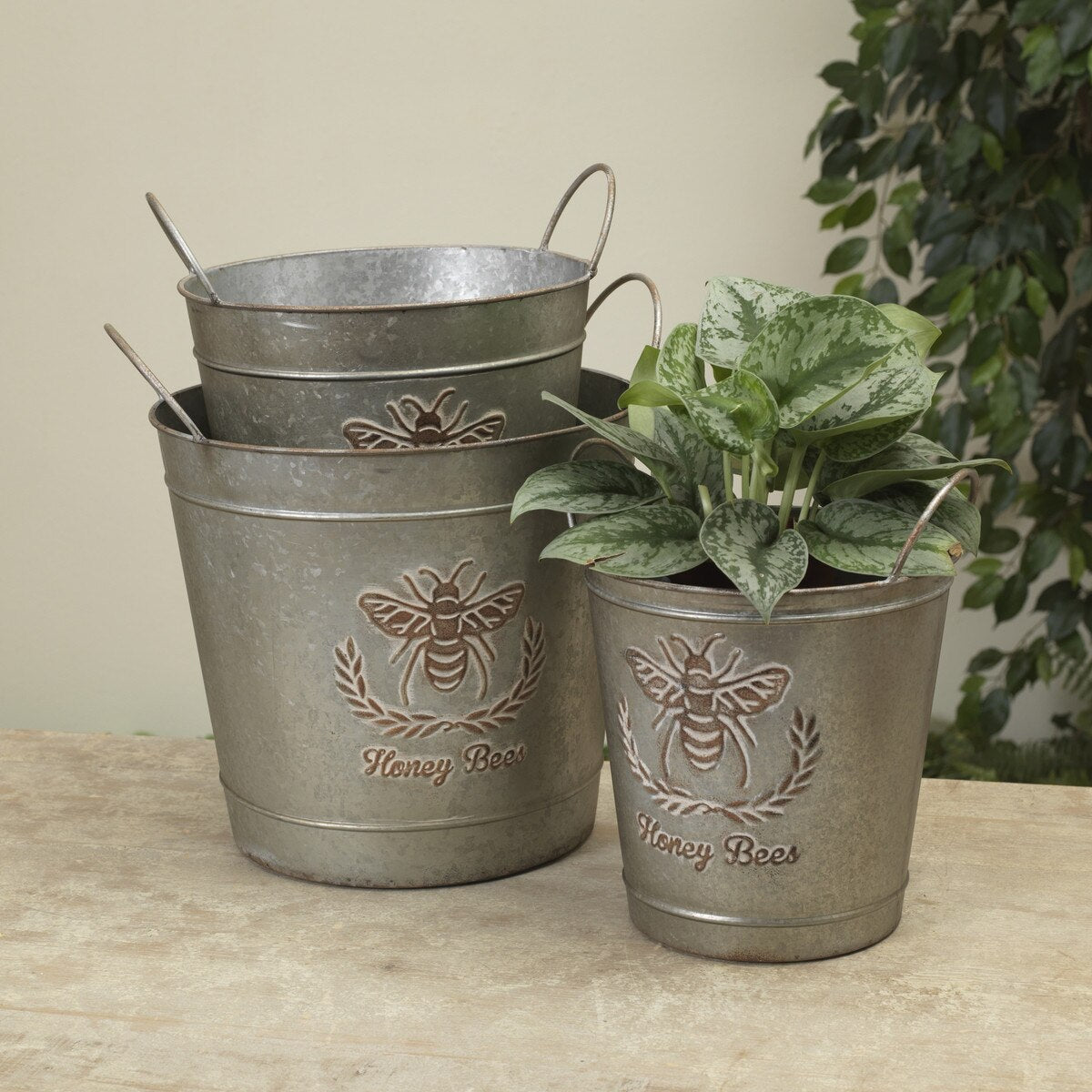 Honey Bee Embossed Galvanized Bucket -