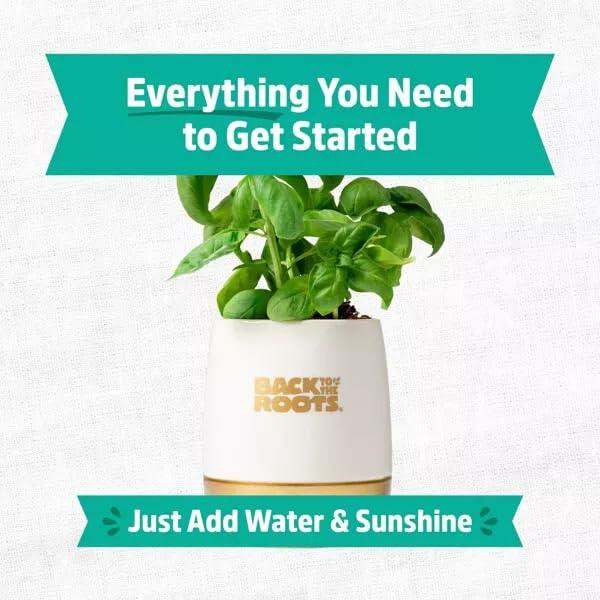 Wellness Grow Kit Basil Indoor Herb Garden Hydroponic System 0.76lb