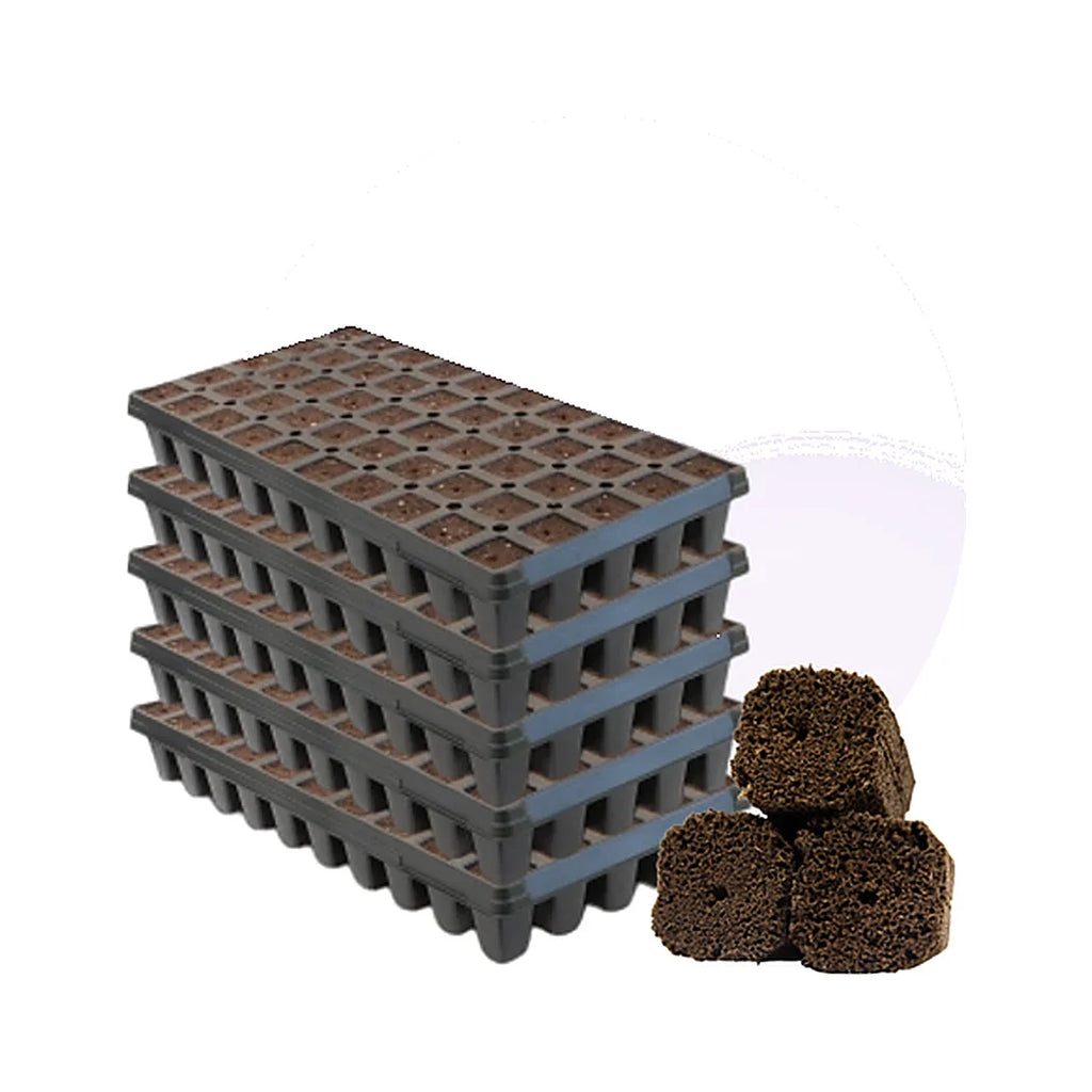OrganiPlug Tall Pre-Filled Tray, 50 Plugs at 2.625 in High
