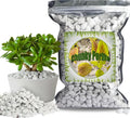 Organic Chunky Perlite for Plants, 1 Quart, 0.4"-0.8" Diameter, Soil Aeration, Drainage, Hydroponics, Perlite Soil Amendment