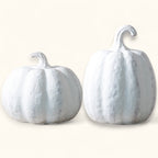 White Terracotta Pumpkins | 2 Sizes